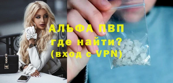 индика Алексин