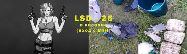 ПСИЛОЦИБИНОВЫЕ ГРИБЫ Алзамай