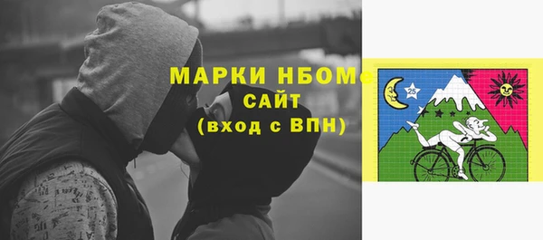 индика Алексин