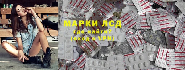 индика Алексин