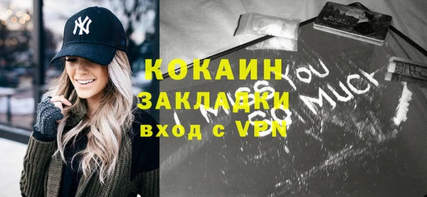 индика Алексин