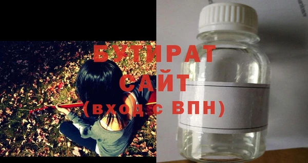 индика Алексин