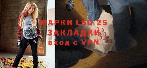 ПСИЛОЦИБИНОВЫЕ ГРИБЫ Алзамай