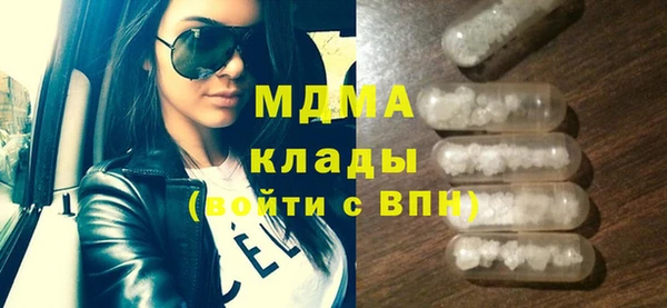 индика Алексин