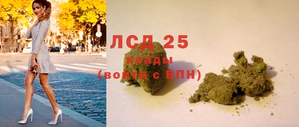 ПСИЛОЦИБИНОВЫЕ ГРИБЫ Алзамай