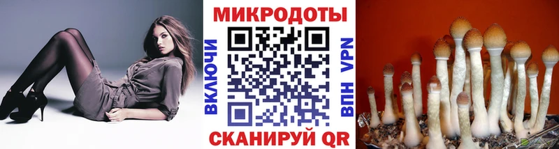 Галлюциногенные грибы Cubensis  Пугачёв 